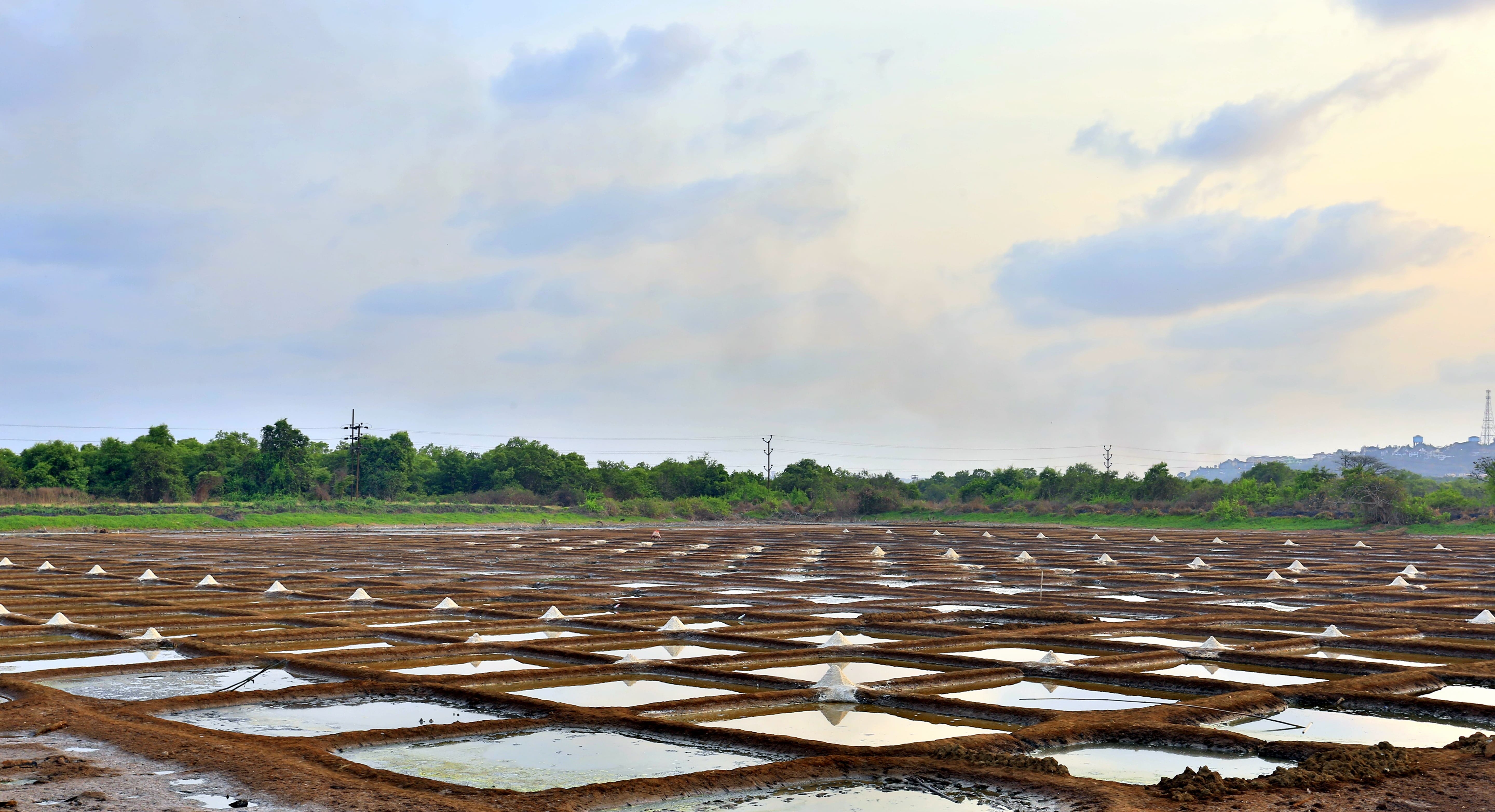 Biodiversity Conservation